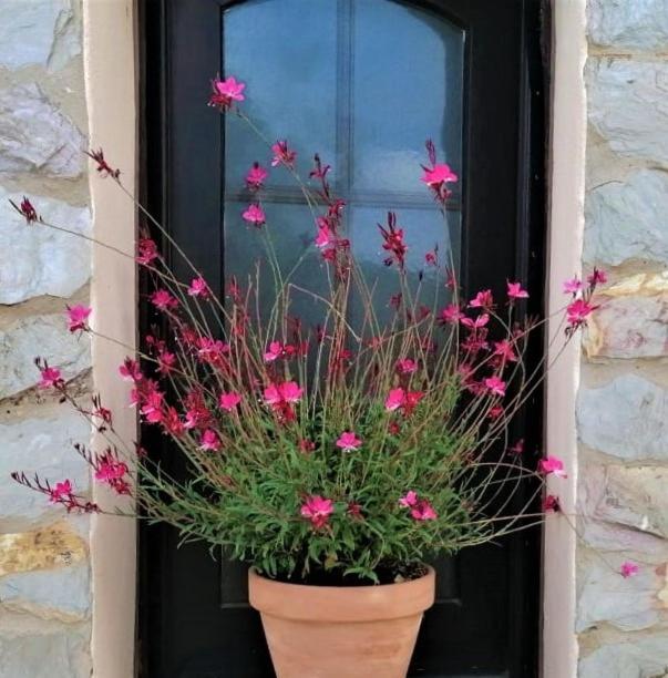 B&B Casa Escondida, Adults Only Алте Екстериор снимка